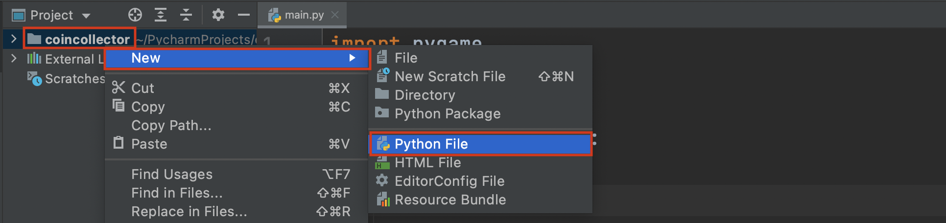 pygame lernen: Wir erstellen eine neue Python File