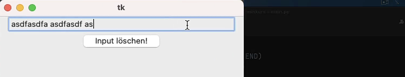 Wir tippen testweise Buchstaben in das Tkinter Entry Widget Eingabefeld