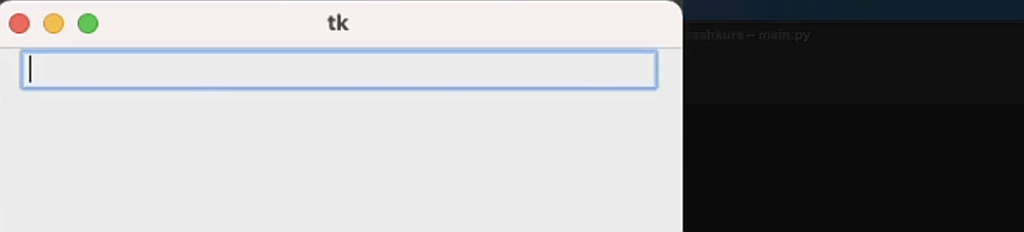 Das Tkinter Entry Widget [mit Video]